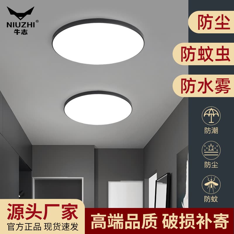 Ultra-Thin LED Ceiling Light Modern Minimalist Style Home Decoration Lighting for Balcony Hall Living Room Main Lighting Fixtures