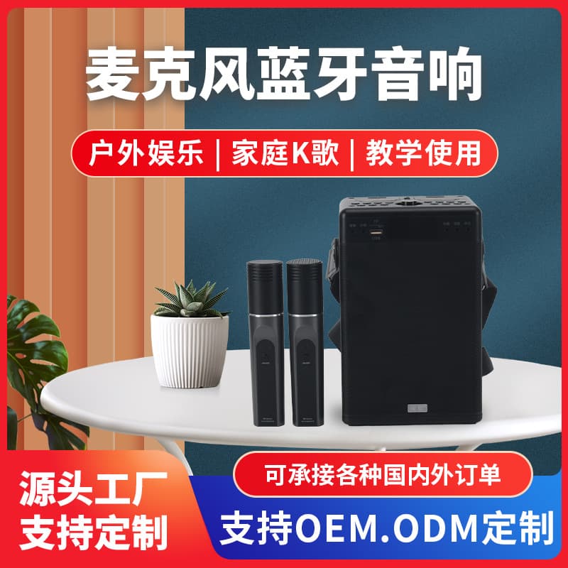 W400 Outdoor Portable Speaker with Dual Microphones for Singing, Live Streaming, Night Market Stalls, Home Use, Bluetooth Speaker All-In-One Machine