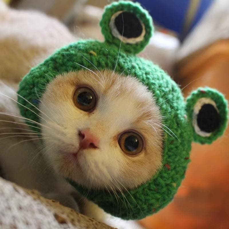 Pet Cat Headpiece Hot Selling Personalized Cosplay Headwear Funny Costume Wholesale Dog Knitted Hat