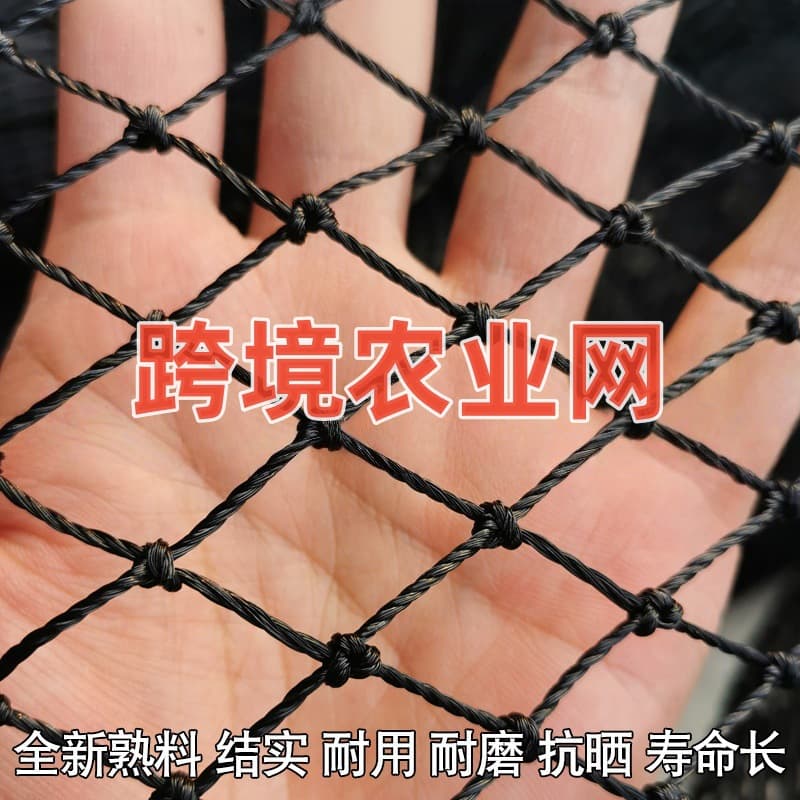 Export Nylon Fishing Net, Agricultural Net, Aquaculture Net, Tennis Court Net, Black Climbing Net, Fishing Net, Chicken Net, Sports Net