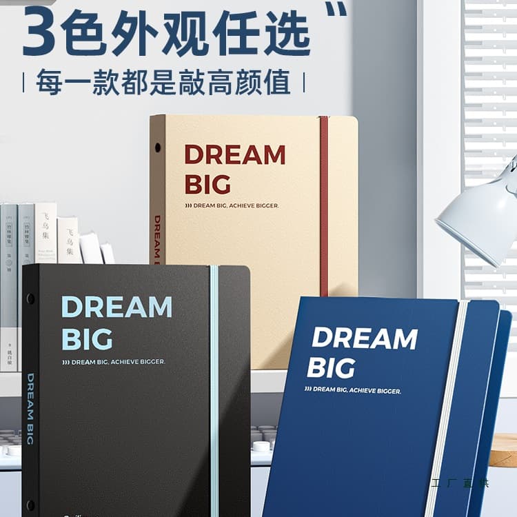 A4 ring binder with transparent removable sleeves, designed for elementary students, hard-shell storage bag for tests.