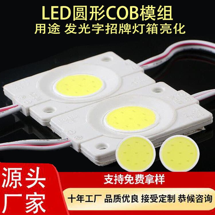 LED High Brightness Advertising Illuminated Character Light Source Injection Molded Module DC12V Low Voltage LED Round COB Module Single Light