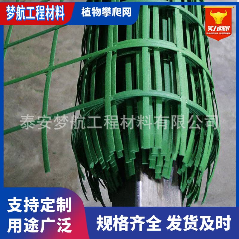 Mine Greening Plant Vine Net Manufacturer, Ivy Climbing Net, Green Steel-Plastic Geogrid