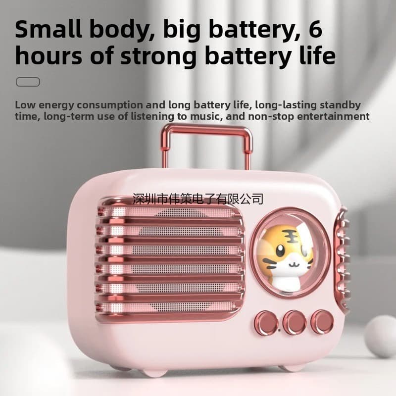 DW09 Suitcase Mini Bluetooth Speaker with TF/SD Card Slot