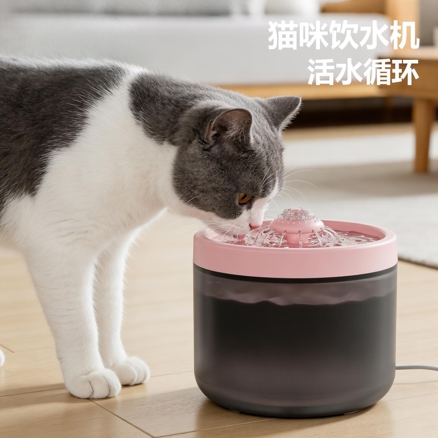 Pet Water Fountain Automatic Filter Circulating Fresh Water Dispenser for Dogs and Cats, Quiet Smart Cat Waterer