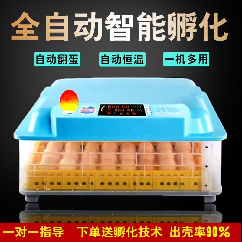 Factory Direct Sales: Small Automatic Home Incubator, Egg Hatching Equipment, Hatching Box
