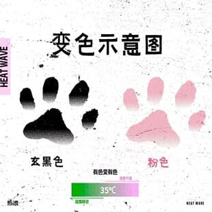 Xiaohongshu Same Style Thermochromic Cat Paw Color-Changing Tattoo Sticker Cute Pet Cat Paw Arm Student Washable Tattoo Sticker