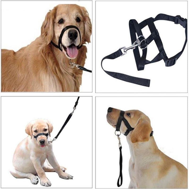 Nose Ring Dog Muzzle - Outdoor Training Anti-Pull Leash - Factory Wholesale Cross-Border Labeling