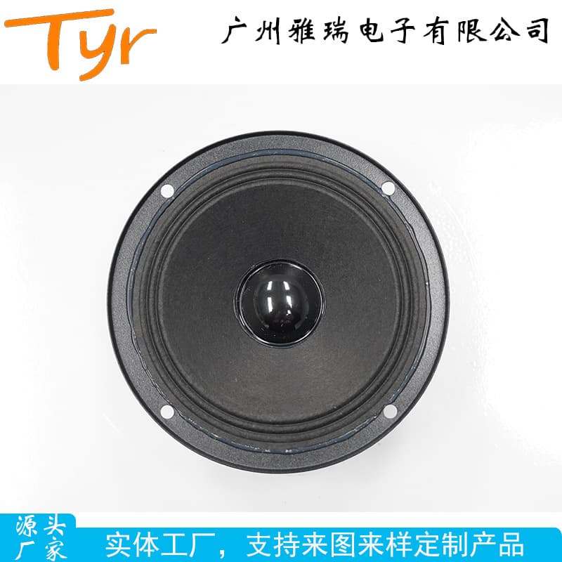 TYR-0404-0013 4-inch 60-magnet 19-core Full Paper Midrange