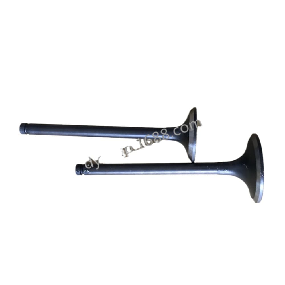 Supply Intake and Exhaust Valves for Hino, Isuzu, Mitsubishi, Nissan, UD Engines