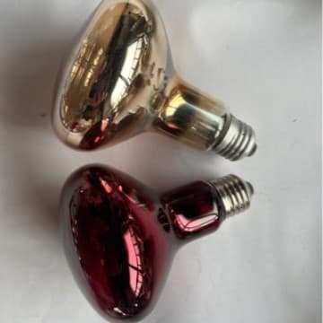 R95 100W Infrared Bulb 220V E27 Reptile Pet Warming Animal Heat Lamp