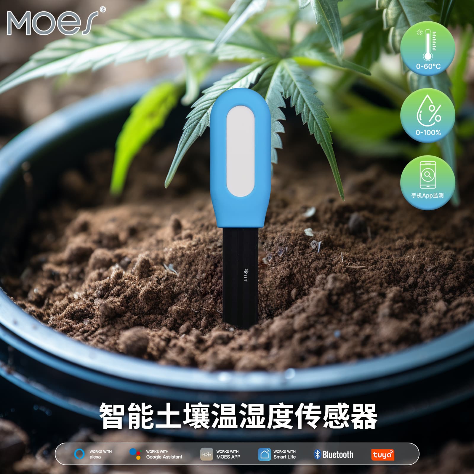 Smart Home Bluetooth Soil Moisture Temperature Monitor Gardening Remote Control Timer App Indoor Outdoor Weather Station