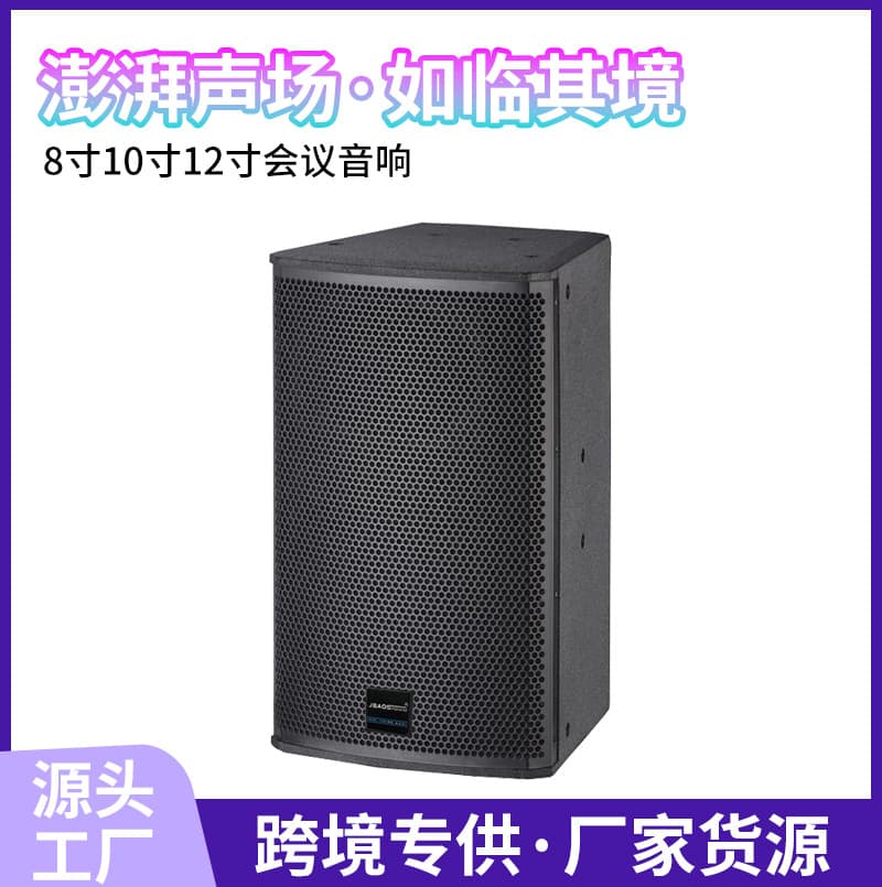 Cross-border single 8-inch conference room audio concert stage low-frequency speaker school wedding performance professional audio