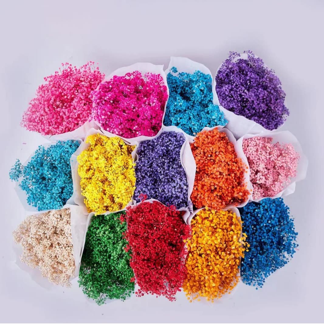 Baby's Breath Wholesale - Factory Direct Supply of Preserved and Dried Flowers, Yunnan Dried Flower Wholesale