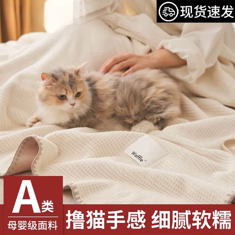 Thickened Flannel Blanket for Air Conditioning, Sofa, Office, Nap, Wrap, Coral Fleece Towel