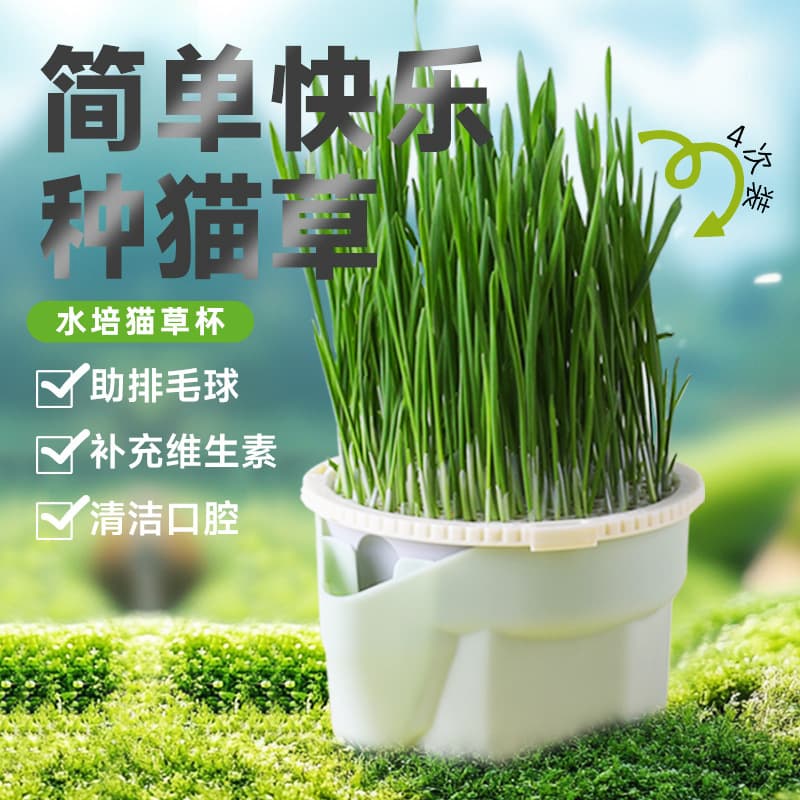 Sensen cat grass potted soilless hydroponic cat grass self-sown cat grass for kittens and cat snacks ready-to-eat cat grass