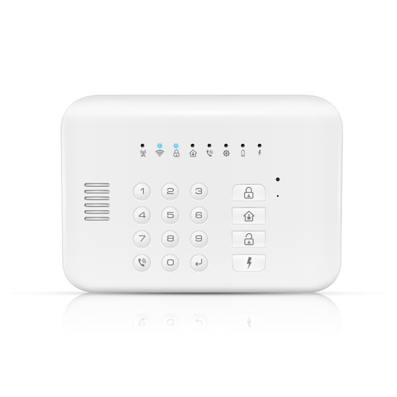 Classic Graffiti GSM+WIFI Burglar Alarm System Tuya Alarm System
