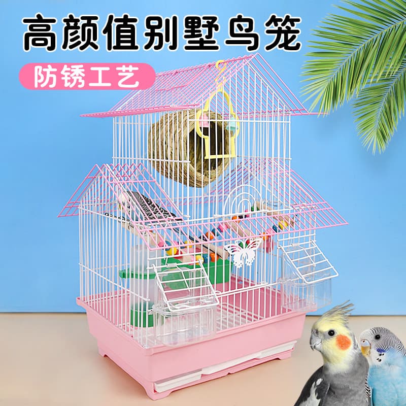 Premium Bird Cage for Budgies, Parakeets, Lovebirds, Finches, and Cockatiels - Large Double-Decker Villa Style with Decorative Setup
