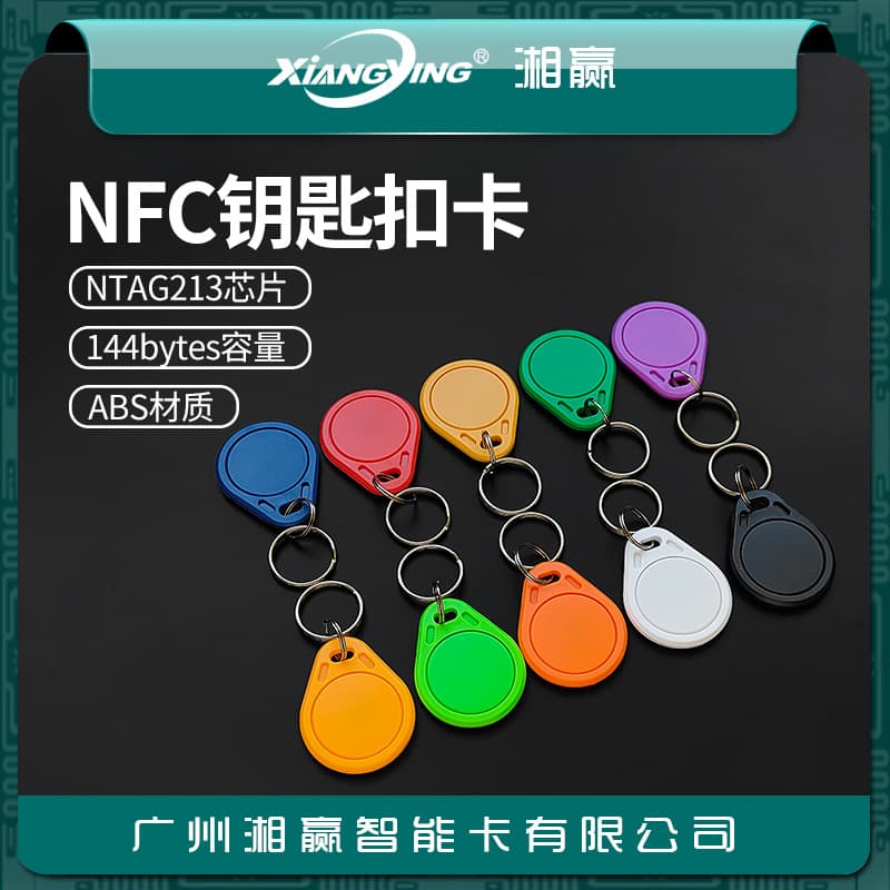 No. 3 NTAG213 Keychain Card NFC Tag NTAG213 Tag NFC Electronic Tag NTAG213 Card