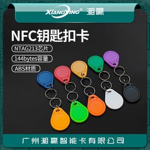 No. 3 NTAG213 Keychain Card NFC Tag NTAG213 Tag NFC Electronic Tag NTAG213 Card