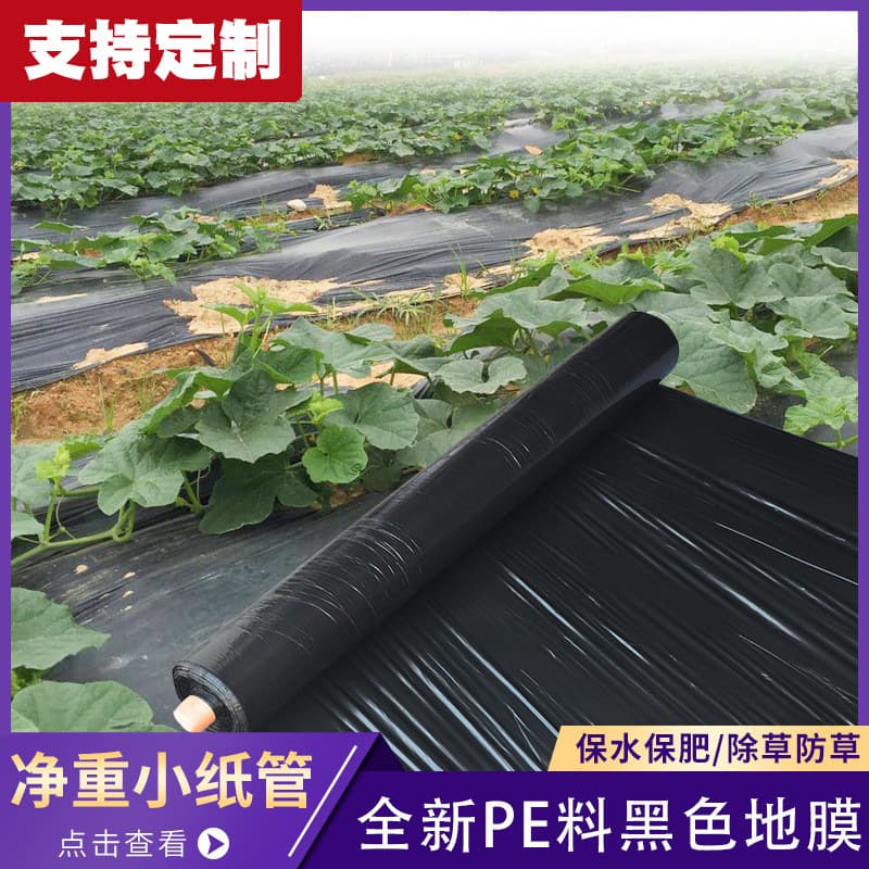 Black Agricultural Weed Control Thickened Mulch Film PE Perforated Biodegradable Plastic Sheeting for Vegetable Gardening
