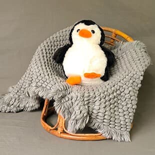 Newborn Photography Indonesian Rattan Radar Chair Handwoven Studio Baby Prop