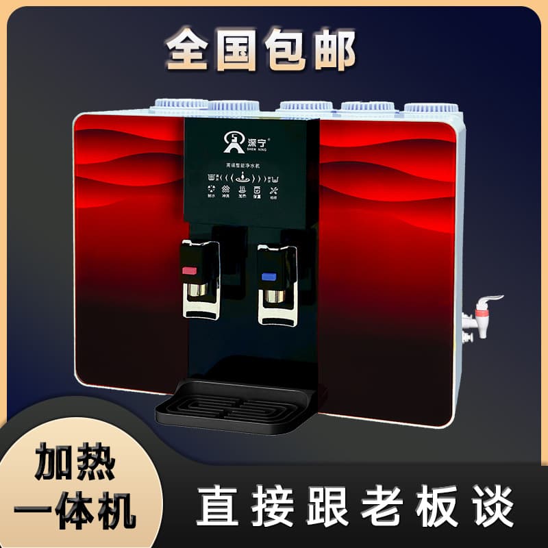 Home All-in-One Water Purifier RO Reverse Osmosis with Direct Drinking Machine Heating Function Pure Water Machine Apple Six Generation Water Purifier