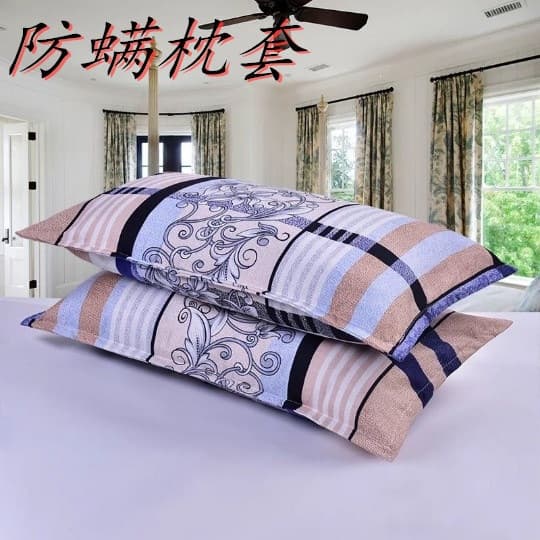 Cross-border Pillowcase Adult Pillow Core Cover Single Pillowcase Double Pillow Core Cover 74*48 Pillowcase Factory Wholesale