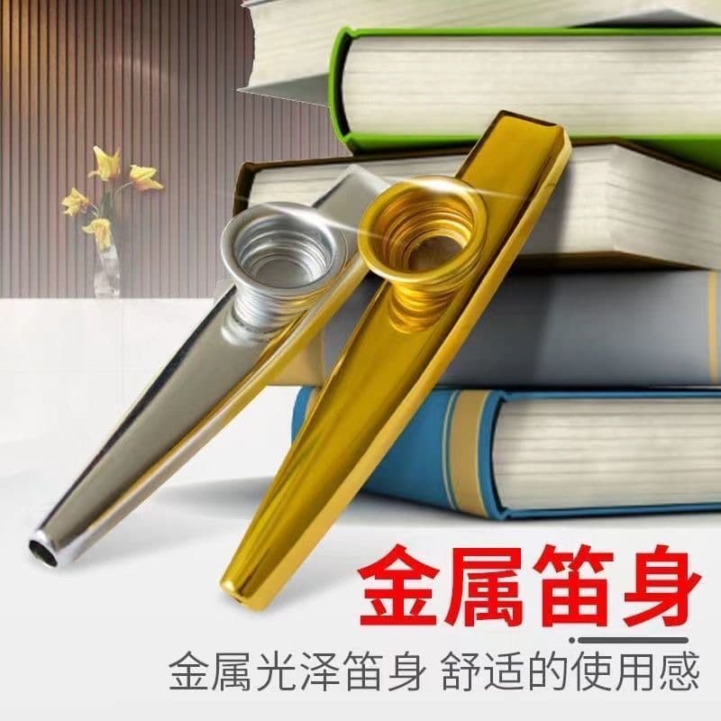 Metal Professional Grade Kazoo, Beginner-Friendly Niche Instrument Companion, Simple and Easy to Learn