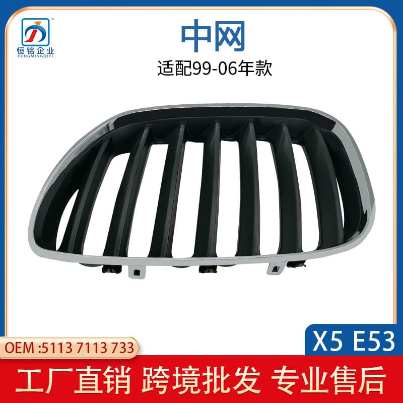 Semi-electroplated Front Bumper Grille For BMW X5 E53 51137113733 51137113734 Car Accessories