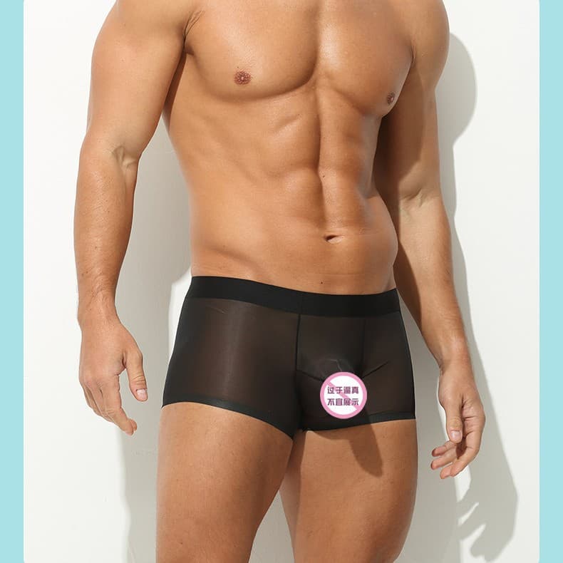 50g Fully Transparent Ice Silk Men's Underwear Bullet Separation Pouch Sexy Boxer Briefs Summer Thin Seamless Flat Angle