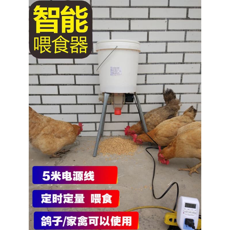 Automatic chicken feeder for pigeons, chickens and ducks, pigeon trough, timed, fully automatic feeding of chickens and pigeons supplies