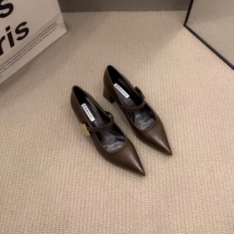French Pointed Toe Single Shoes for Women 2025 New Spring Autumn Retro Chunky Heel Elegant Ultra High Heel Mary Jane Shoes