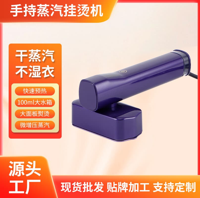 Cross-border Small Handheld Spray Iron, Dry and Wet Use Portable Mini Steam Electric Iron, Home Garment Steamer