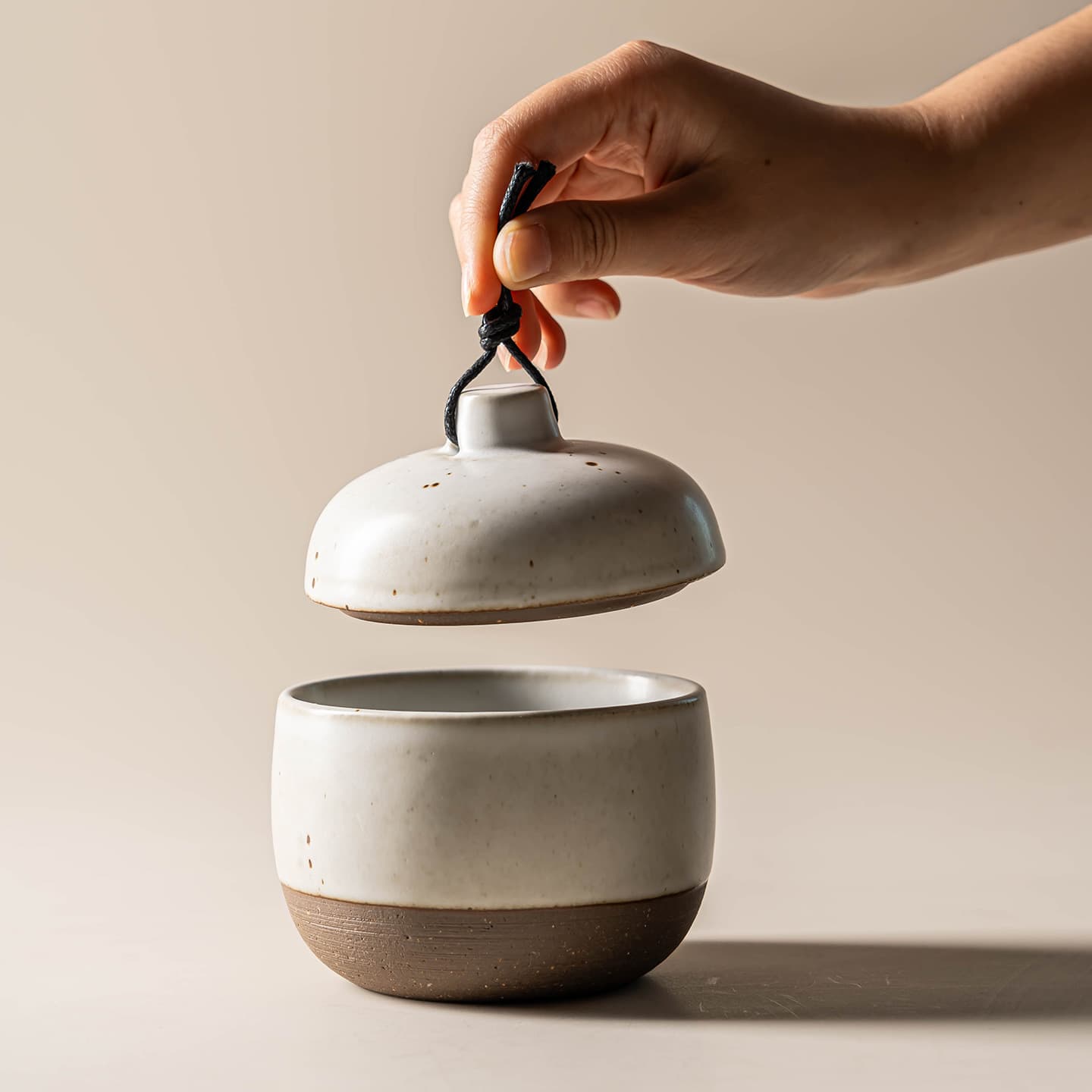 Vintage Tea Canister Japanese-style Coarse Ceramic Home Storage Jar, Rustic Sauce Jar for B&B Restaurants, Simple Organizer Jar Tableware