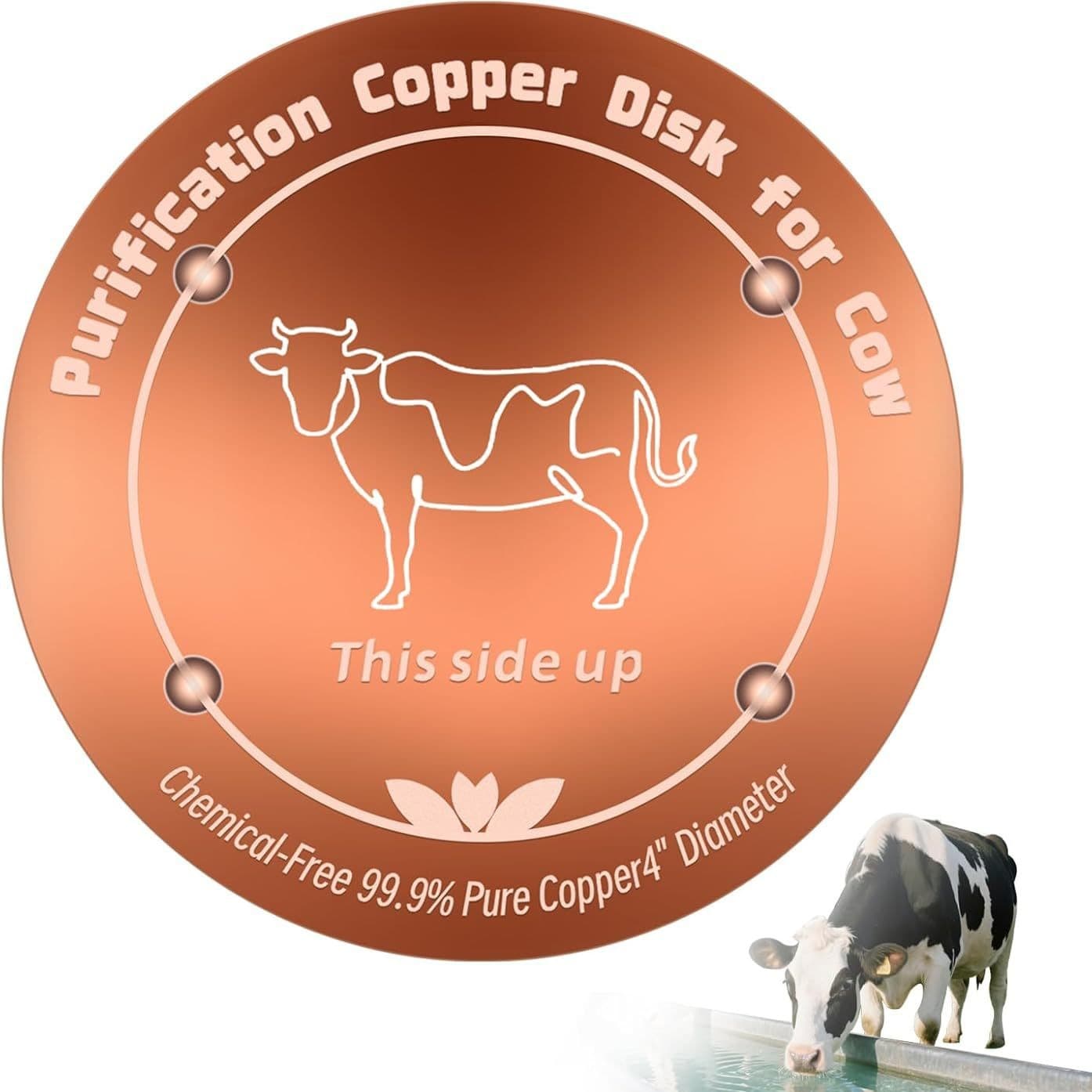New Amazon Cross-Border Product Bird Bath Disk Copper Birdbath Cleaner Solid Copper Round Tray