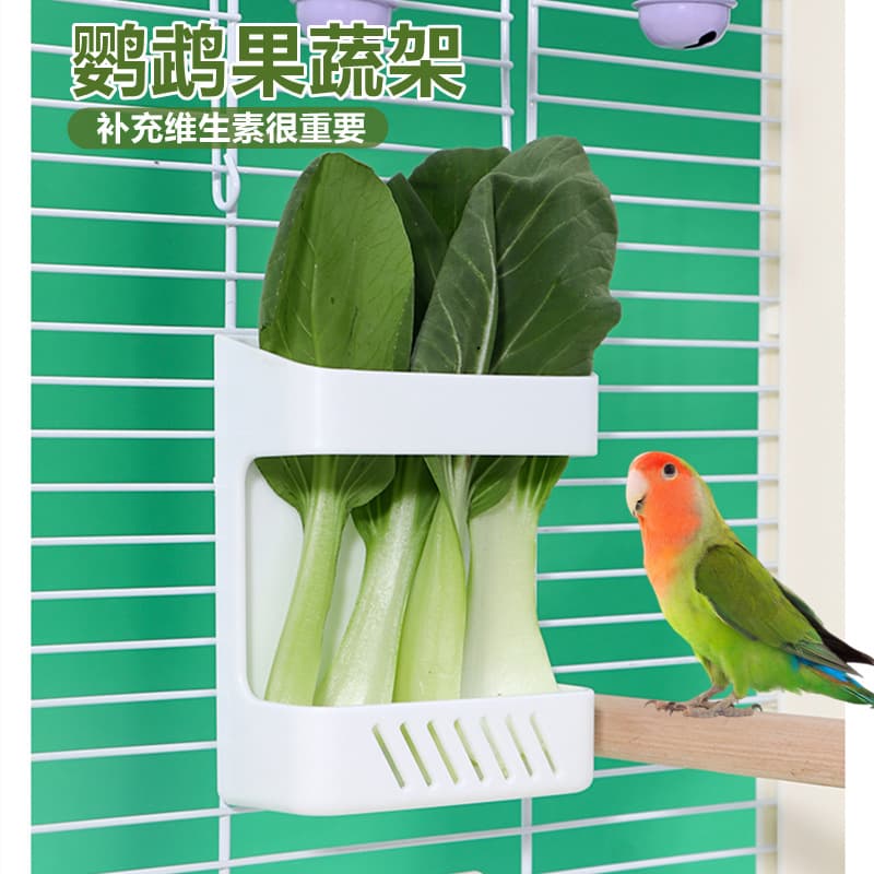 Parrot Vegetable Feeder Box, Wire Cage Acrylic Bird Cage Quail Food Vegetable Box