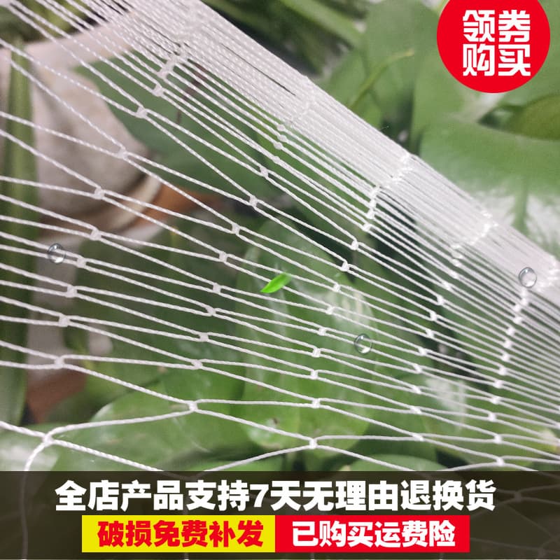 Nylon Multifilament Bird Netting for Grape Orchards, Cherry, Fish Ponds, Frog and Loach Farming - Bird Repellent Net