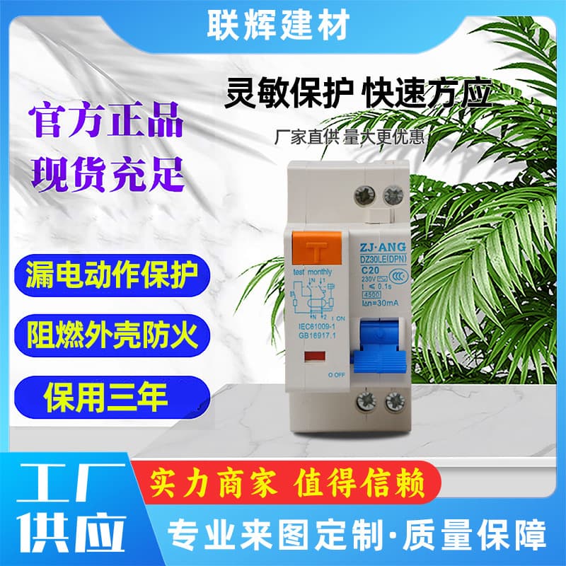 Zhujiang Electric Leakage Switch, Residual Current Sensitive Protector, Leakage Protection Circuit Breaker Main Switch for Home Use DPN
