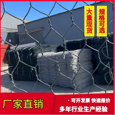 Manufacturer Wholesale National Standard Retaining Wall Galvanized Stone Cage Net Roll Gabion Net Box Lead Wire Stone Cage Net River Slope Protection Gabion Cage