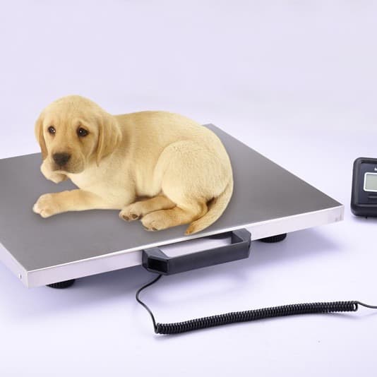 52x42cm Multi-Range Multi-Division Combination Weighing Counting Electronic Platform Scale Pet Health Scale