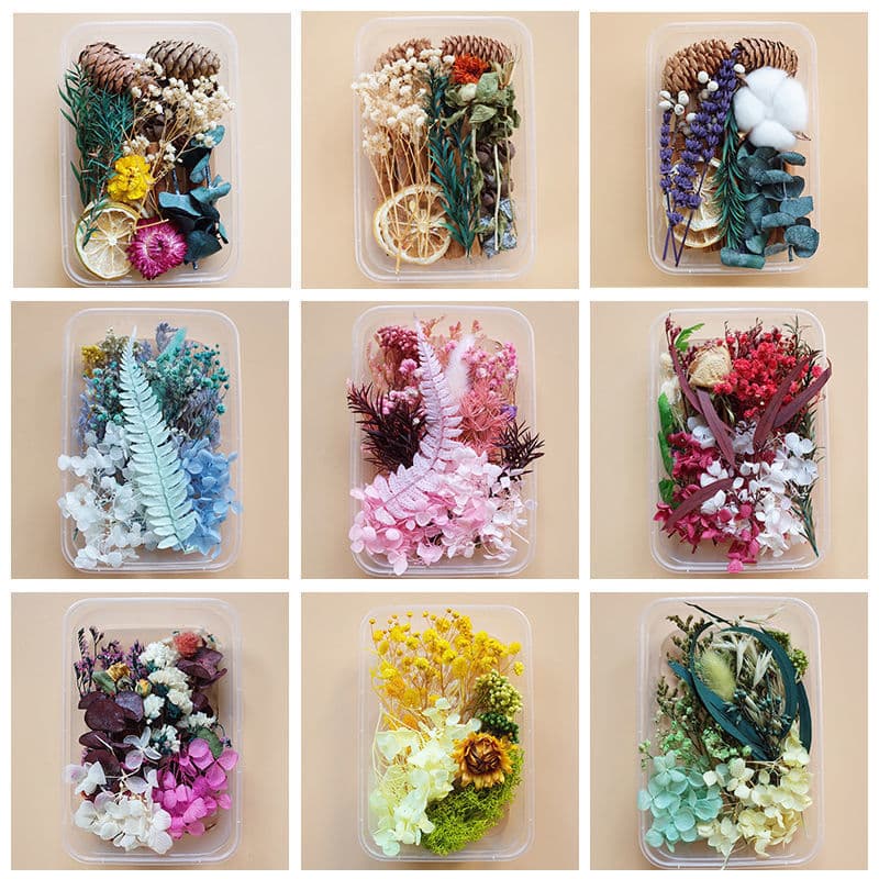 DIY Mixed Dried Flower Box, Handmade Flower Material Pack, Natural Air-Dried Real Flowers, Ins Decoration Ornament