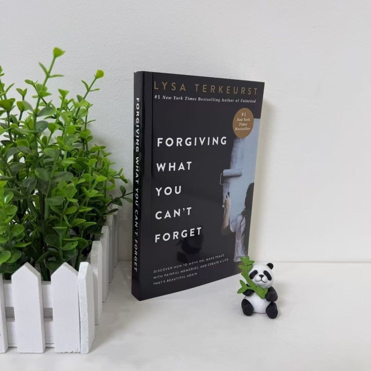 Forgiving What You Can'T Forget English
