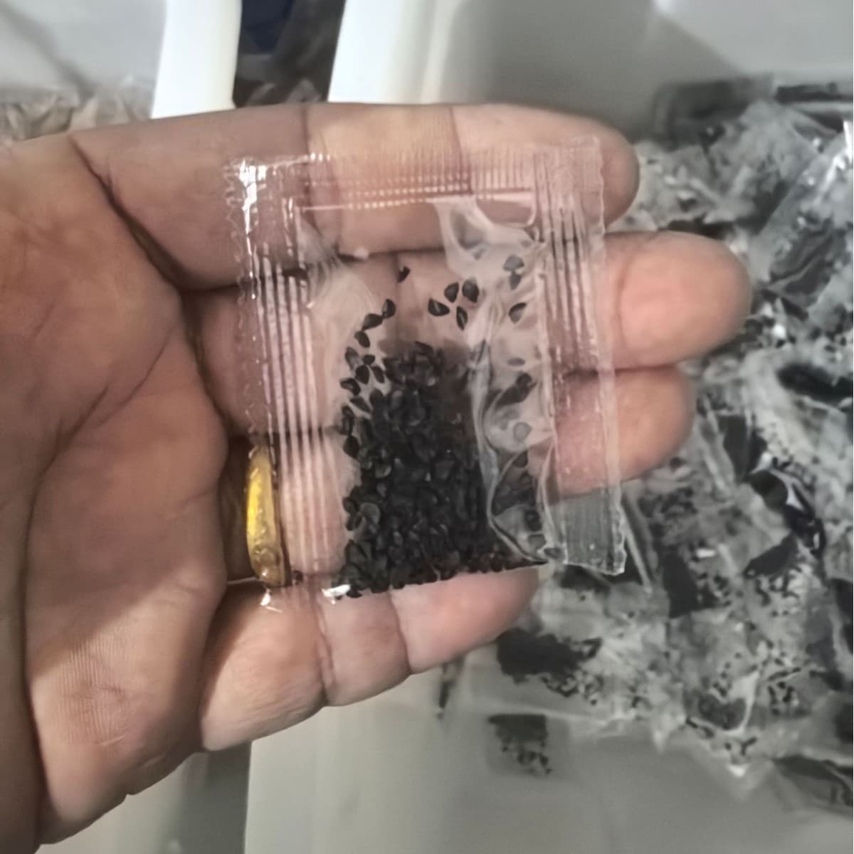 Wholesale Children Student Gift Vegetable Flower Seeds Small Package Drop Shipping Custom Processing Free Shipping