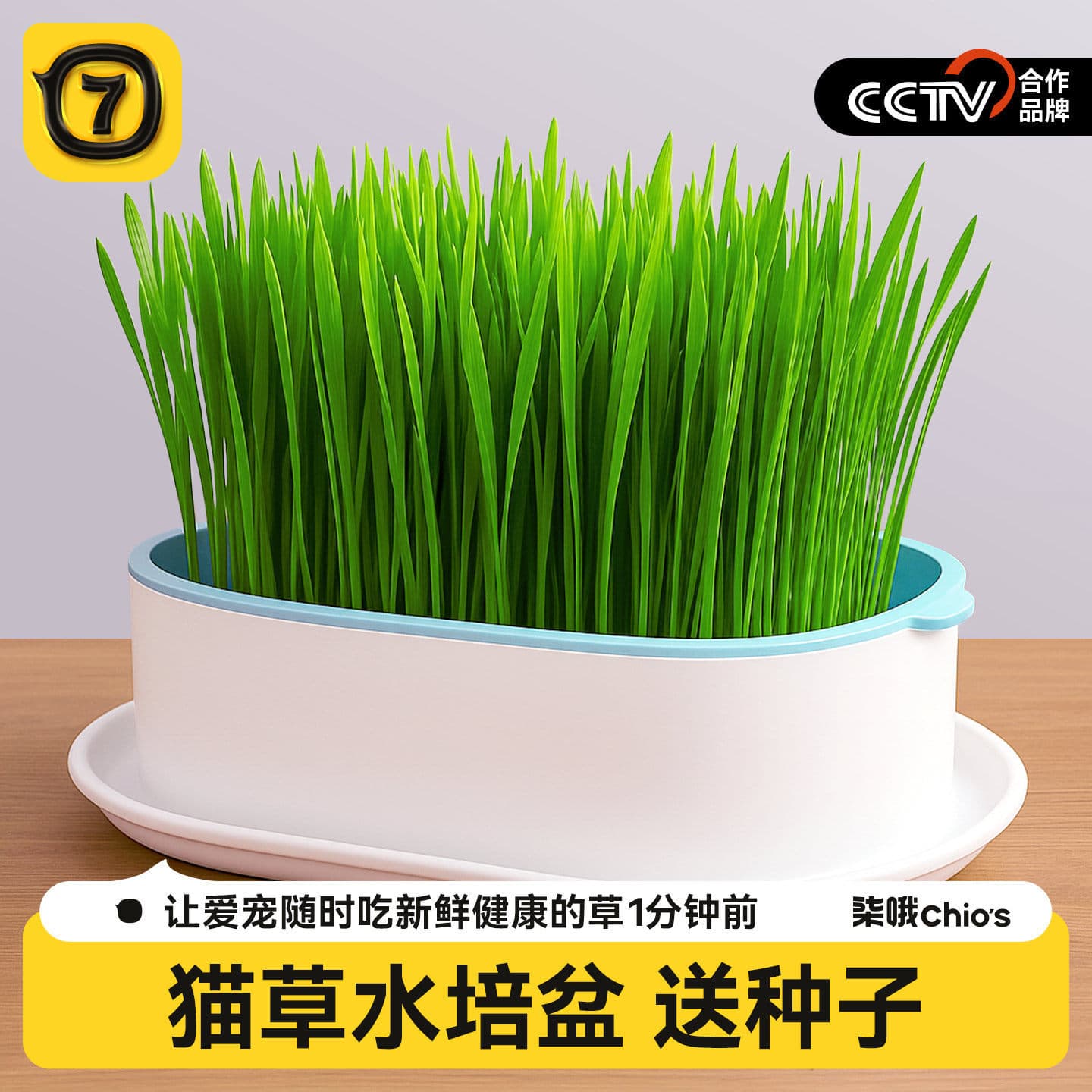 Cat Grass Pot Hydroponic Box, Lazy Cat Grass Seed Tray, Cat Hairball Remedy Grass, Cat Grass Sticks, Freeze-Dried Cat Grass Pellets