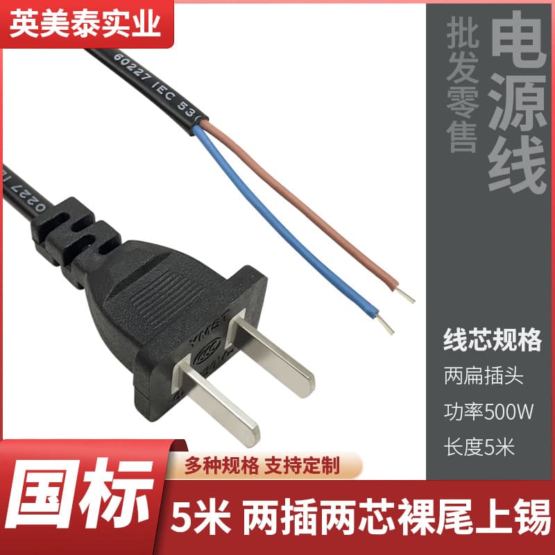 2-Pin National Standard Power Cord with Plug, 2-Core, 2-Hole, 2-Pin with Wire, Single-End Bare Wire, Tinned Tail, 5 Meters