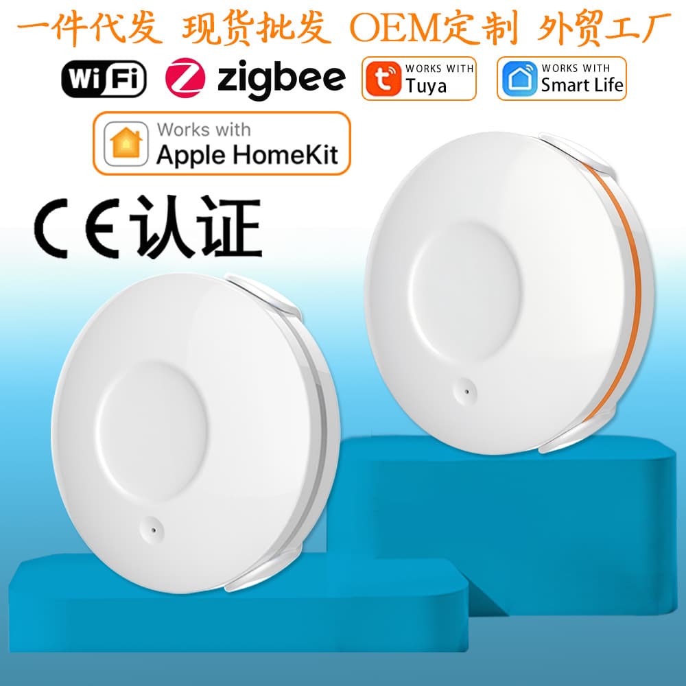 Cross-Border Best-Selling Tuya WiFi Water Leak Sensor APP Remote Kitchen Overflow Wireless Smart Leak Detector