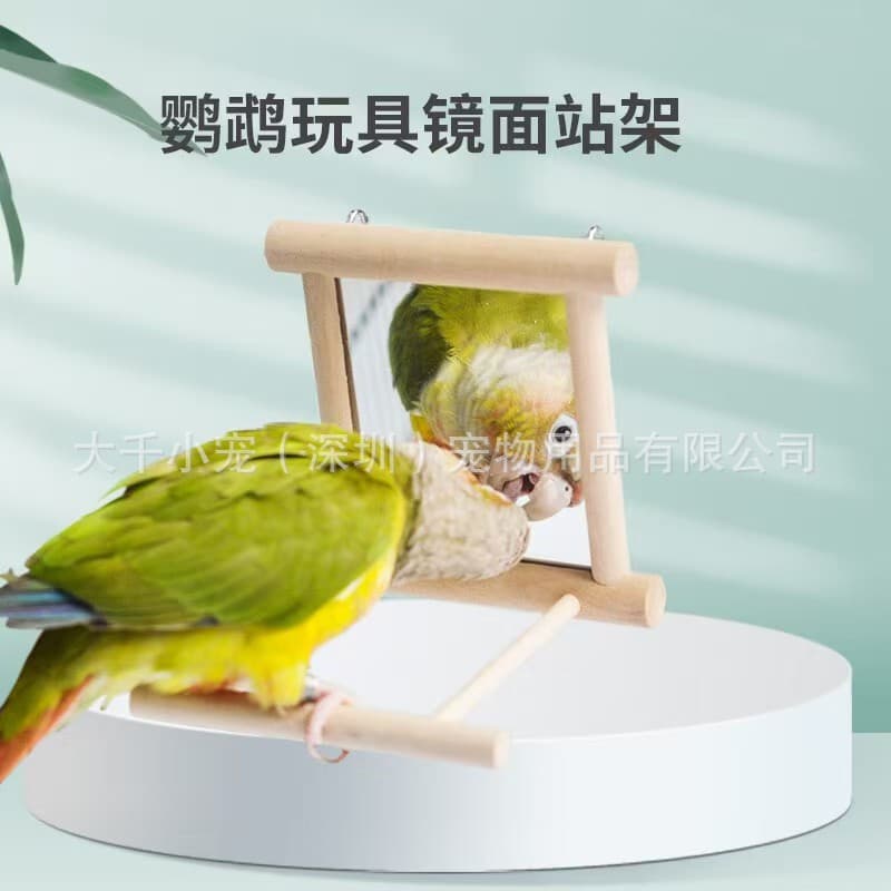 Parrot Mirror Solid Wood Stand for Budgie, Lovebird, Cockatiel, Parrot Toy Ladder Mirror Perch