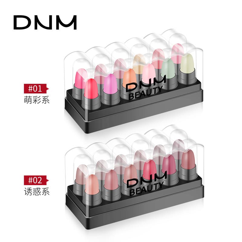DNM set of 12 colors lipstick boxed velvet matte lip gloss matte color changing gilt jelly lipstick cross-border wholesale