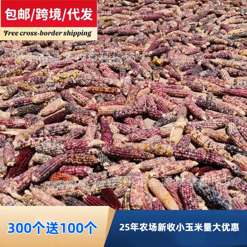 Buy 300, Get 100 Free 25-Year Mini Corn Chew Sticks for Hamsters, Golden Hamsters, and Rabbits